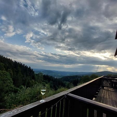 Panorama Apartman Svadlenka Rokytnice nad Jizerou Exterior photo